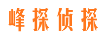 铜川市私家侦探